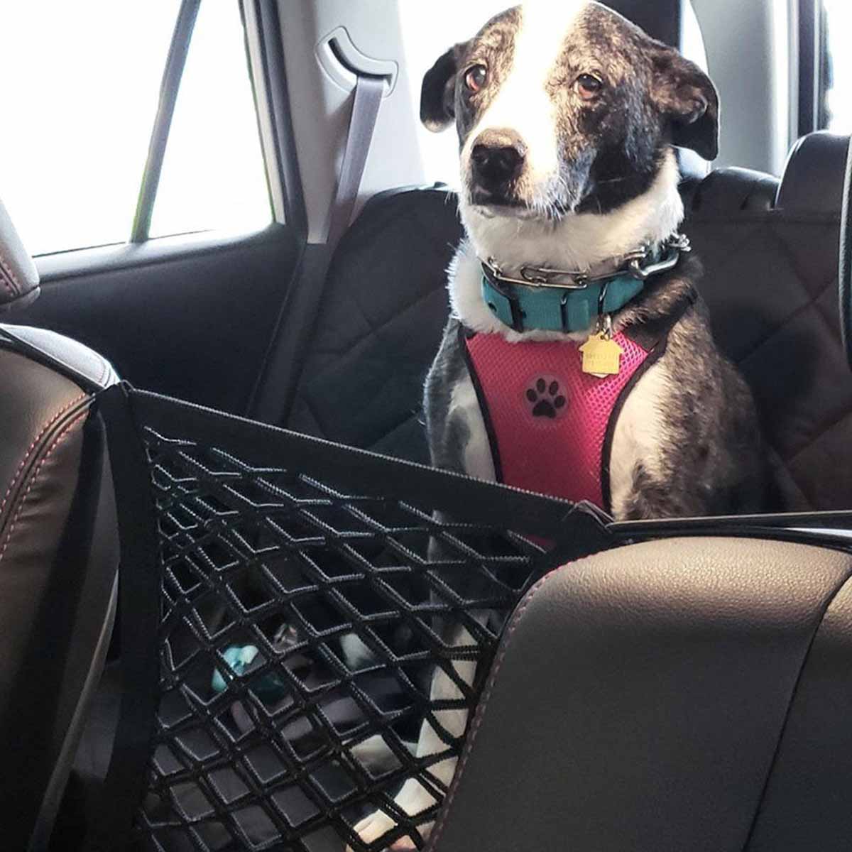 Sedile posteriore per cani da  - Partition Screen Divider recensione e prezzo